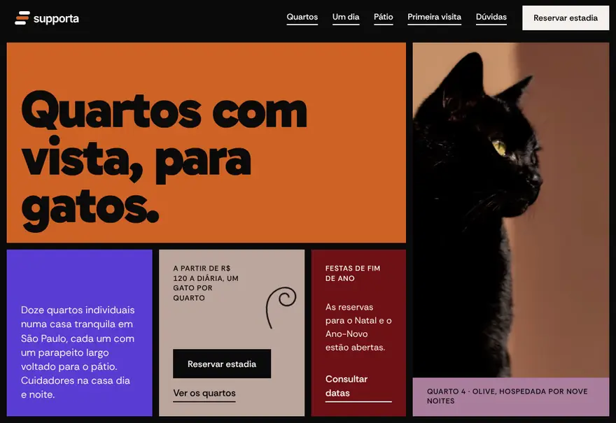 Modelo de site para hotel para pets